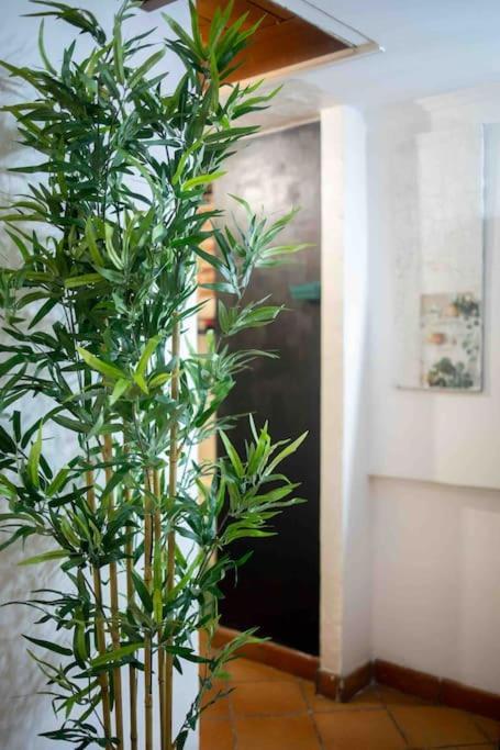 Ferienwohnung Via Dei Cestari Loft Rom Exterior foto